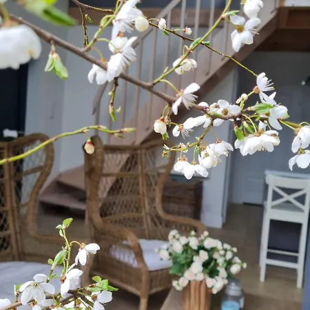 Holiday home Nad Jeziorami Niedzwiady